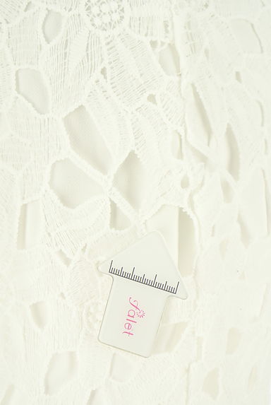 An MILLE（アンミール）の古着「総レースミモレタイトスカート（スカート）」大画像５へ