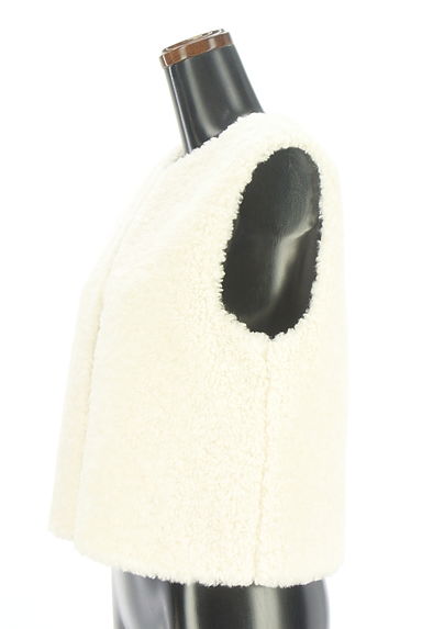 Droite lautreamont（ドロワットロートレアモン）の古着「ボアベスト（ベスト・ジレ）」大画像３へ