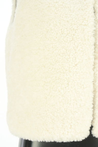 Droite lautreamont（ドロワットロートレアモン）の古着「ボアベスト（ベスト・ジレ）」大画像５へ