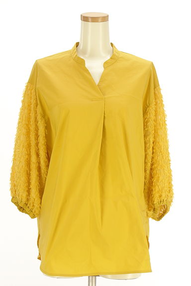 Droite lautreamont（ドロワットロートレアモン）の古着「シャギーボリューム袖ブラウス（カットソー・プルオーバー）」大画像１へ