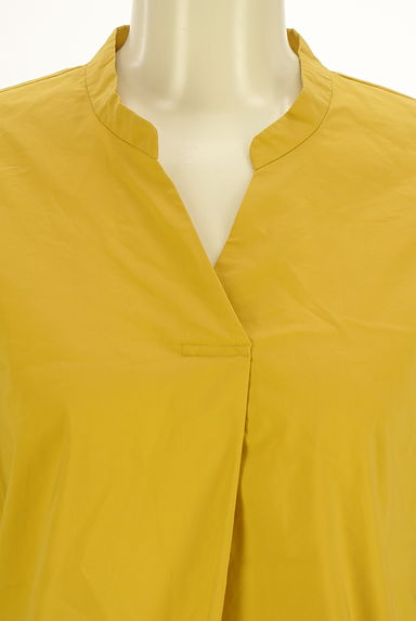 Droite lautreamont（ドロワットロートレアモン）の古着「シャギーボリューム袖ブラウス（カットソー・プルオーバー）」大画像４へ