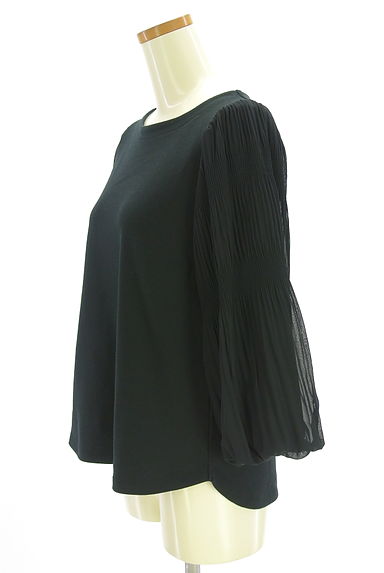 earth music&ecology（アースミュージック＆エコロジー）の古着「袖シフォン切替カットソー（カットソー・プルオーバー）」大画像３へ