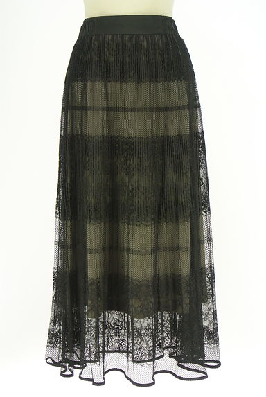 JILL by JILLSTUART（ジルバイジルスチュアート）の古着「レースロングスカート（ロングスカート・マキシスカート）」大画像１へ