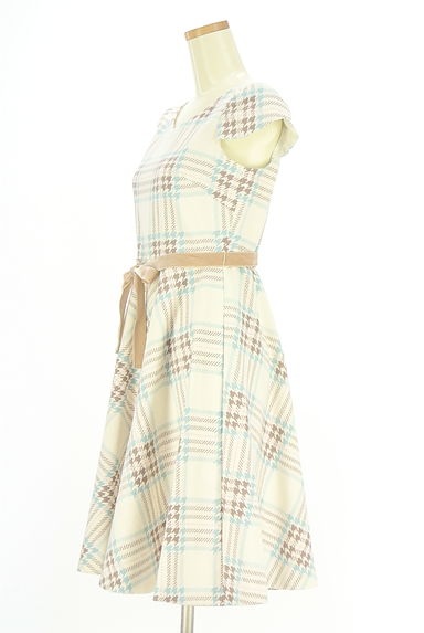 クリックで大画像表示 WILLSELECTION(ウィルセレクション)の古着「半そでチェック柄ワンピース(ワンピース・チュニック)」大画像3へ