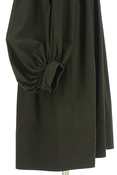 EZUMi（エズミ）の古着「ボリュームスリーブワンピース（ワンピース・チュニック）」大画像５へ