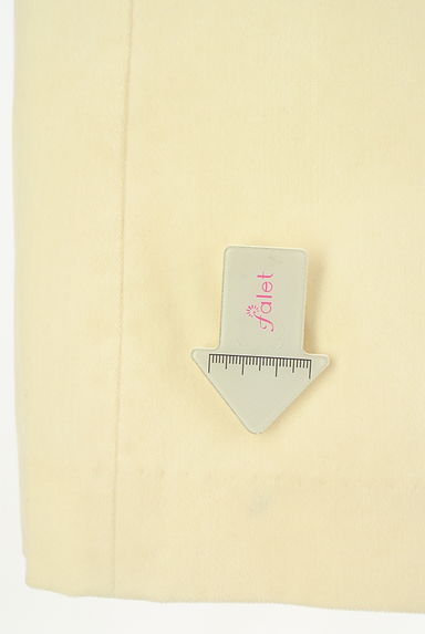 BABYLONE（バビロン）の古着「ベロアライクロングスカート（ロングスカート・マキシスカート）」大画像５へ