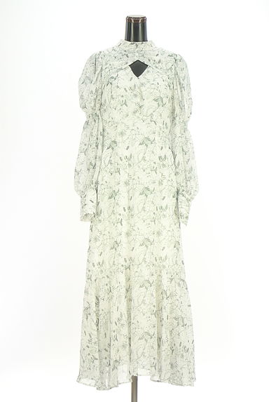 rienda（リエンダ）の古着「フロントオープンロングシフォンワンピ（ワンピース・チュニック）」大画像１へ