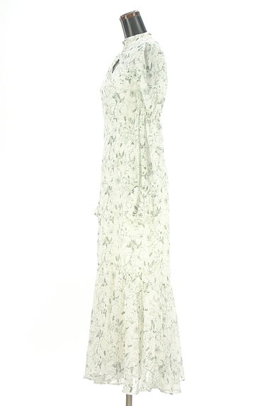 rienda（リエンダ）の古着「フロントオープンロングシフォンワンピ（ワンピース・チュニック）」大画像３へ