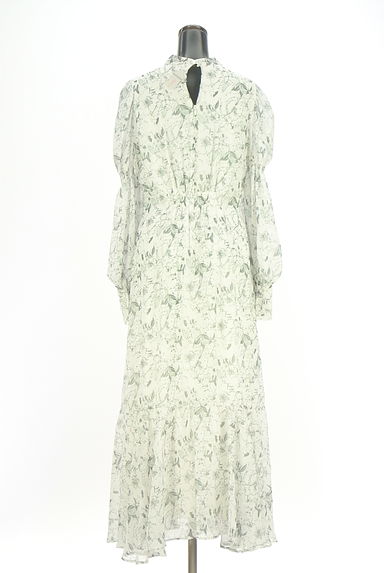 rienda（リエンダ）の古着「フロントオープンロングシフォンワンピ（ワンピース・チュニック）」大画像４へ