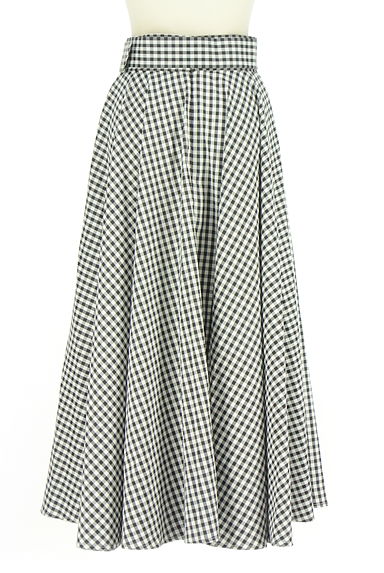 PROPORTION BODY DRESSING（プロポーションボディドレッシング）の古着「ベルト付きギンガムチェックロングスカート（ロングスカート・マキシスカート）」大画像２へ