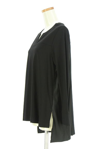 DoCLASSE（ドゥクラッセ）の古着「後ろ別地切替キーネックカットソー（カットソー・プルオーバー）」大画像３へ