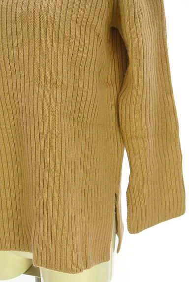 PLAIN PEOPLE（プレインピープル）の古着「タートルネックリブニットトップス（ニット）」大画像５へ