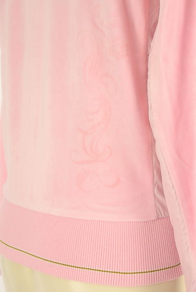 PUMA（プーマ）の古着「ダブルジップベロアパーカー（ジャージトップス）」大画像５へ