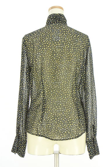 NARA CAMICIE（ナラカミーチェ）の古着「フリルシアーブラウス（ブラウス）」大画像２へ