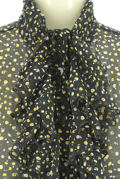 NARA CAMICIE（ナラカミーチェ）の古着「フリルシアーブラウス（ブラウス）」大画像４へ