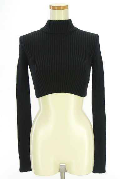 EMODA（エモダ）の古着「クロップド丈ストレッチハイネックリブニット（ニット）」大画像１へ