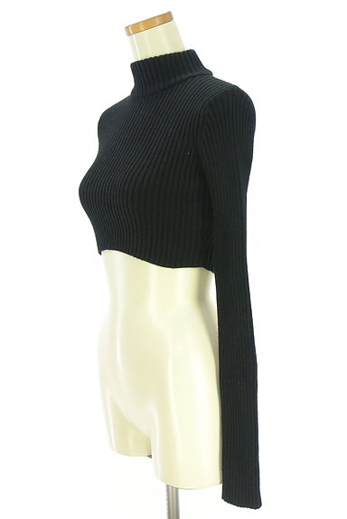 EMODA（エモダ）の古着「クロップド丈ストレッチハイネックリブニット（ニット）」大画像３へ