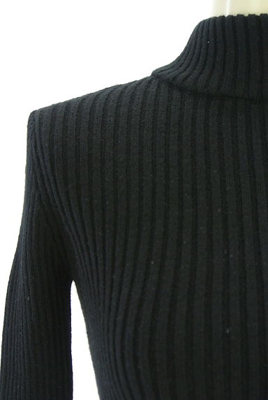 EMODA（エモダ）の古着「クロップド丈ストレッチハイネックリブニット（ニット）」大画像４へ