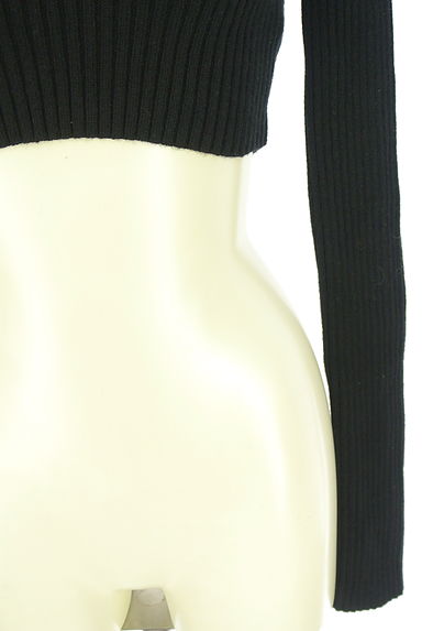 EMODA（エモダ）の古着「クロップド丈ストレッチハイネックリブニット（ニット）」大画像５へ