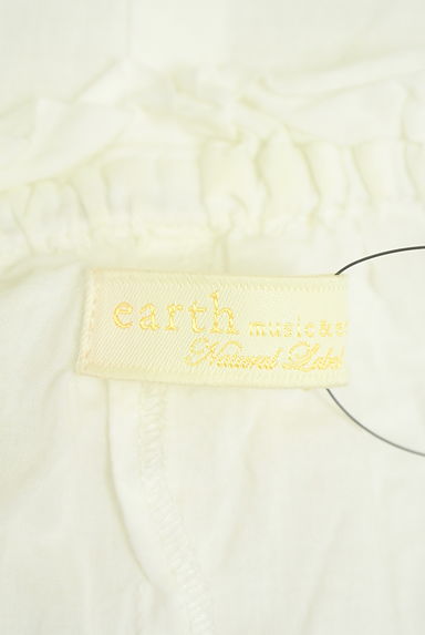 earth music&ecology（アースミュージック＆エコロジー）の古着「刺しゅうシアーワンピース（ワンピース・チュニック）」大画像６へ