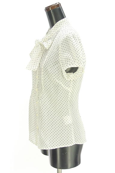 NATURAL BEAUTY BASIC（ナチュラルビューティベーシック）の古着「ラメストライプ×ドットボウタイブラウス（ブラウス）」大画像３へ