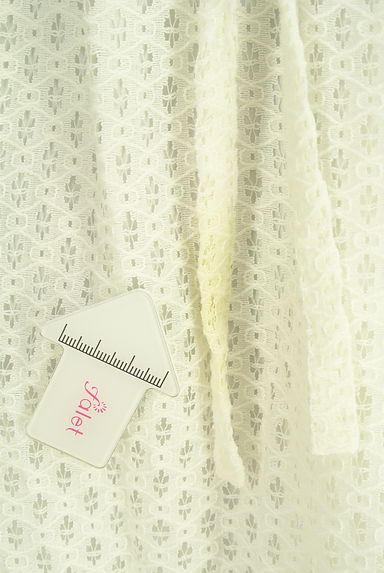 MISCH MASCH（ミッシュマッシュ）の古着「総レースミモレワンピース（ワンピース・チュニック）」大画像５へ