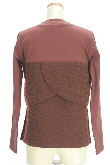 AZUL BY MOUSSY（アズールバイマウジー）の古着「レイヤード風カットソー（カットソー・プルオーバー）」大画像２へ