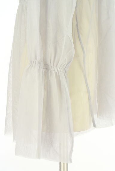 クリックで大画像表示 Kastane(カスタネ)の古着「シャーリングチュールトップス(カットソー・プルオーバー)」大画像5へ