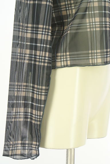 クリックで大画像表示 Kastane(カスタネ)の古着「チェック柄シアーカットソー(カットソー・プルオーバー)」大画像5へ