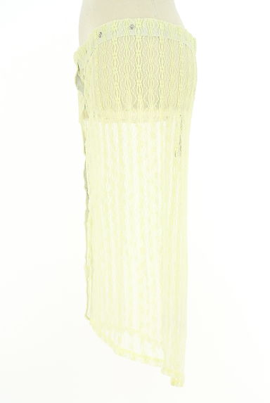 クリックで大画像表示 Kastane(カスタネ)の古着「総レーススカート(スカート)」大画像3へ