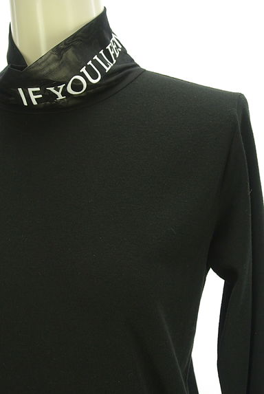 クリックで大画像表示 Eimee Law(エイミーロウ)の古着「シアー切替ハイネックカットソー(カットソー・プルオーバー)」大画像4へ