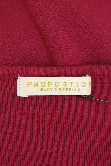 PROPORTION BODY DRESSING（プロポーションボディドレッシング）の古着「ボリューム袖Vネックニット（ニット）」大画像６へ