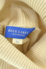 BLUE LABEL CRESTBRIDGE（ブルーレーベル・クレストブリッジ）の古着「商品番号：PR10339323」-6