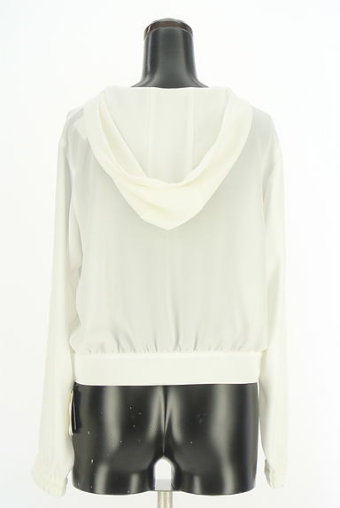 LAISSE PASSE（レッセパッセ）の古着「ジップアップシアーパーカー（スウェット・パーカー）」大画像２へ