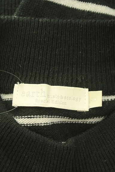 earth music&ecology（アースミュージック＆エコロジー）の古着「パール付きハイネックボーダーニット（ニット）」大画像６へ