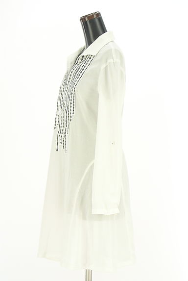 HIROKO BIS（ヒロコビス）の古着「+RICO HIROKO BIS 刺しゅうテープライン入りスキッパーワンピース（ワンピース・チュニック）」大画像３へ