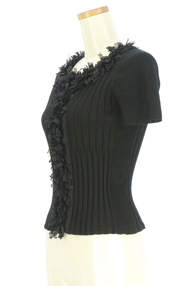 クリックで大画像表示 HIROKO BIS(ヒロコビス)の古着「半袖リブニットトップス(ニット)」大画像3へ