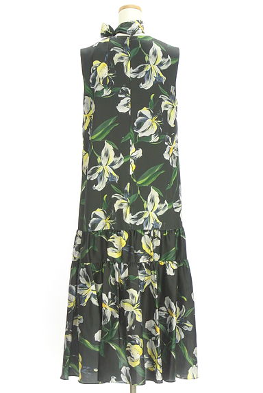 Grace Class（グレースクラス）の古着「花柄ノースリワンピース（ワンピース・チュニック）」大画像２へ