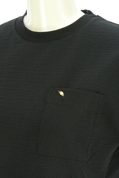ARNOLD PALMER（アーノルドパーマー）の古着「ワンポイント5分袖Tシャツ（カットソー・プルオーバー）」大画像４へ