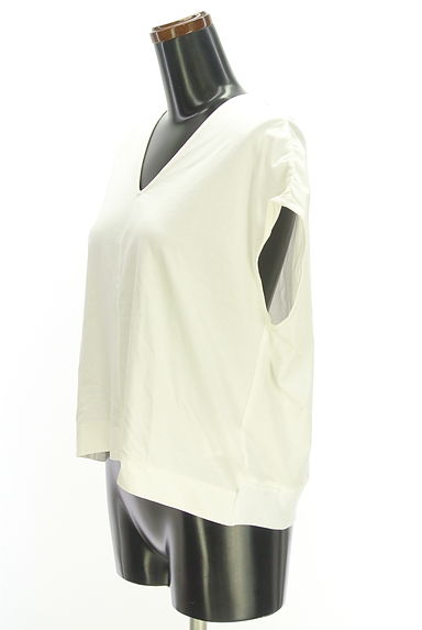 PLST（プラステ）の古着「フレンチスリーブカットソー（カットソー・プルオーバー）」大画像３へ