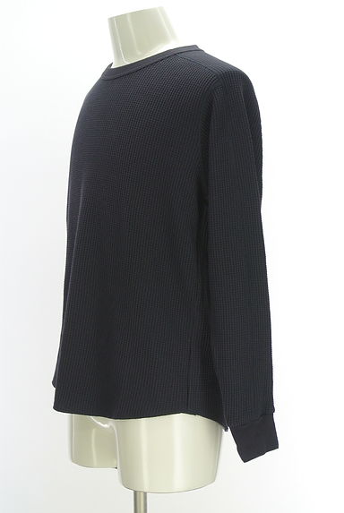 PLST（プラステ）の古着「ラウンドヘムワッフルカットソー（カットソー・プルオーバー）」大画像３へ