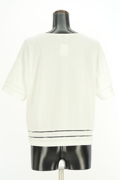 MACKINTOSH PHILOSOPHY（マッキントッシュ フィロソフィー）の古着「透かし編み刺繍ライン入り半袖カットソー（カットソー・プルオーバー）」大画像２へ