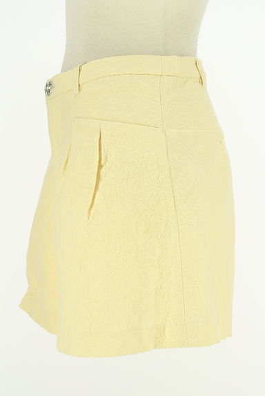 Apuweiser riche（アプワイザーリッシェ）の古着「ダマスク織ショートパンツ（ショートパンツ・ハーフパンツ）」大画像３へ