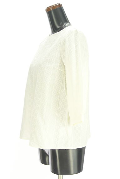 Te chichi（テチチ）の古着「8分袖総刺繍ブラウス（カットソー・プルオーバー）」大画像３へ