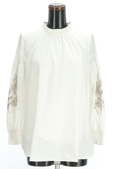 Apuweiser riche（アプワイザーリッシェ）の古着「刺繍入りスリーブブラウス（カットソー・プルオーバー）」大画像１へ