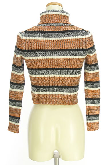 dazzlin（ダズリン）の古着「ボーダー柄タートルネックリブニットトップス（ニット）」大画像２へ