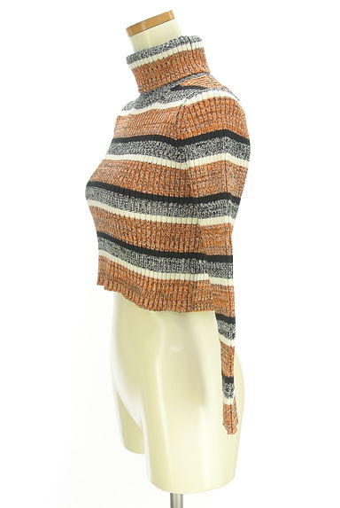 dazzlin（ダズリン）の古着「ボーダー柄タートルネックリブニットトップス（ニット）」大画像３へ