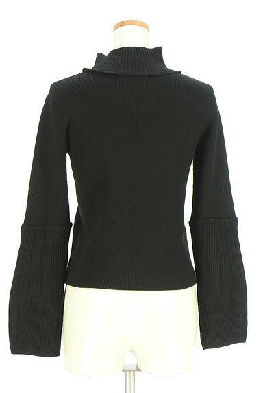 クリックで大画像表示 PINUE(ピヌエ)の古着「切替袖ハイネックニット(ニット)」大画像2へ