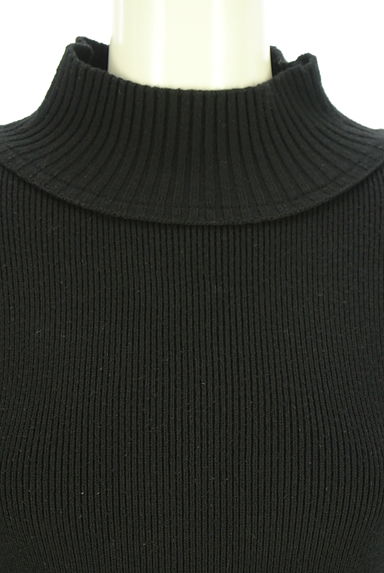 クリックで大画像表示 PINUE(ピヌエ)の古着「切替袖ハイネックニット(ニット)」大画像4へ