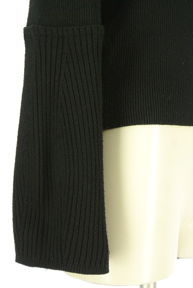 クリックで大画像表示 PINUE(ピヌエ)の古着「切替袖ハイネックニット(ニット)」大画像5へ